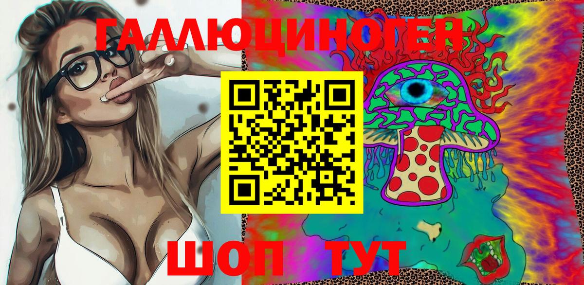 Псилоцибиновые грибы Psilocybe Королёв